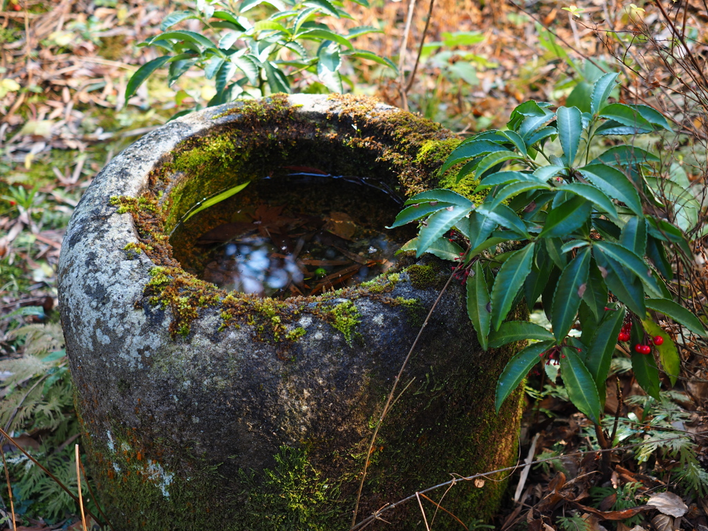 鎌倉　円覚寺　１０