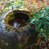 鎌倉　円覚寺　１０