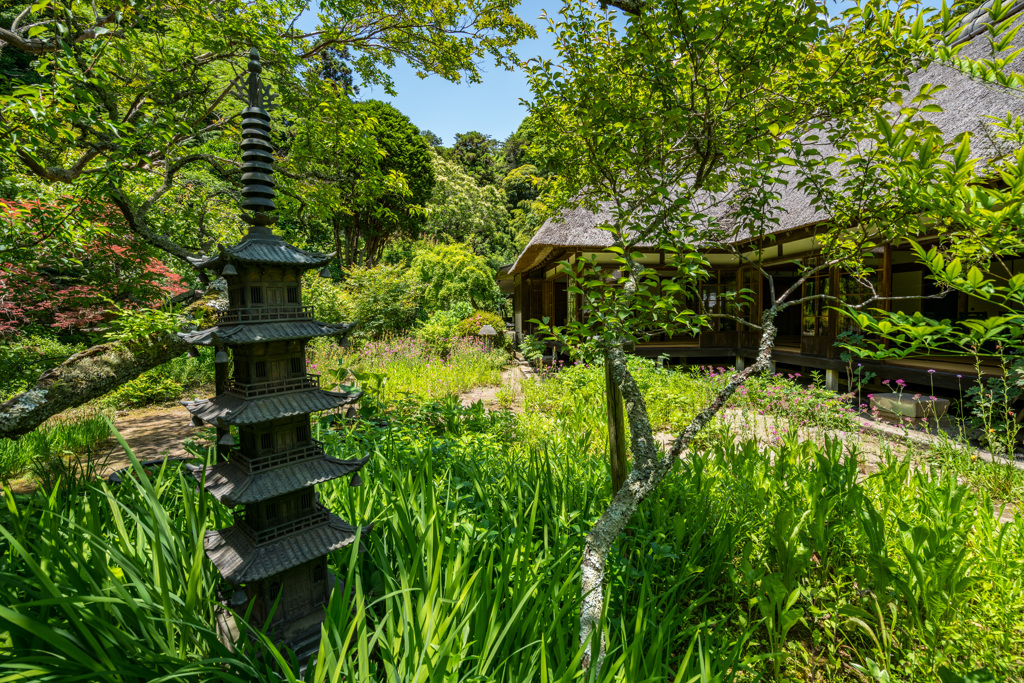 浄智寺　庭②