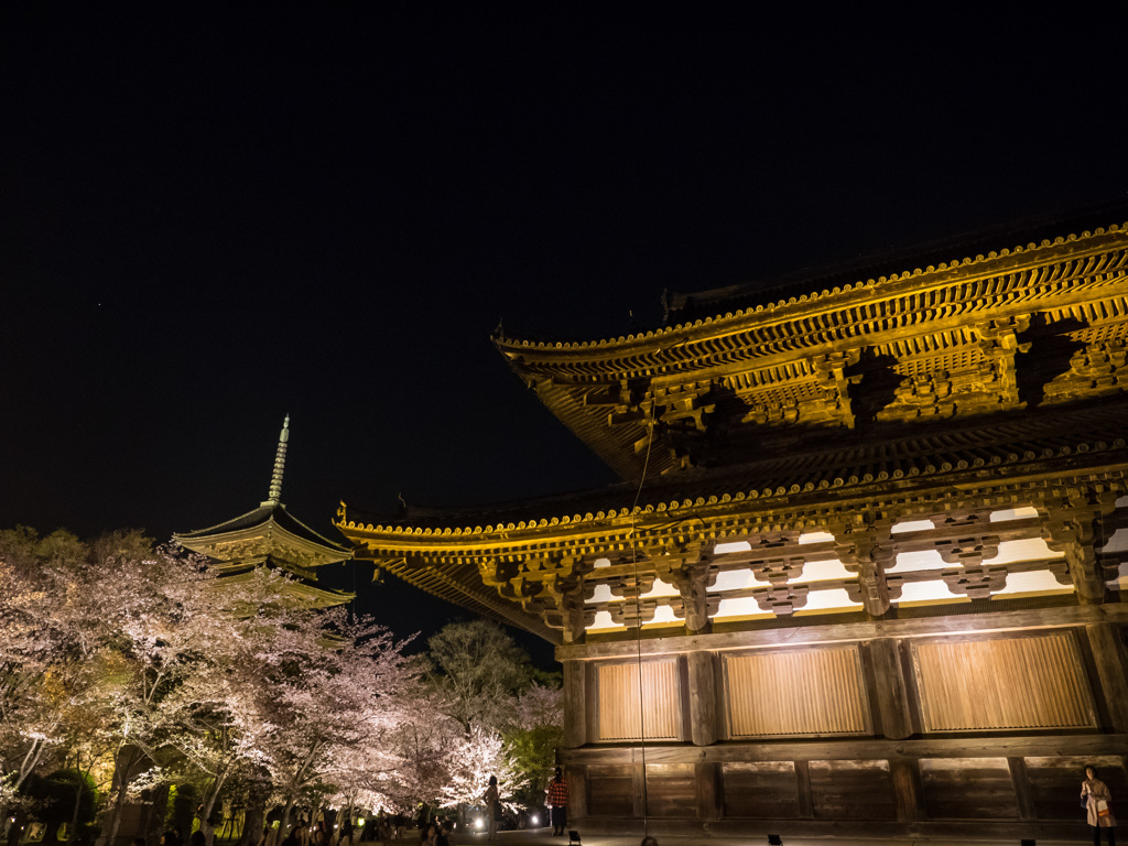 東寺ライトアップ③（京都）