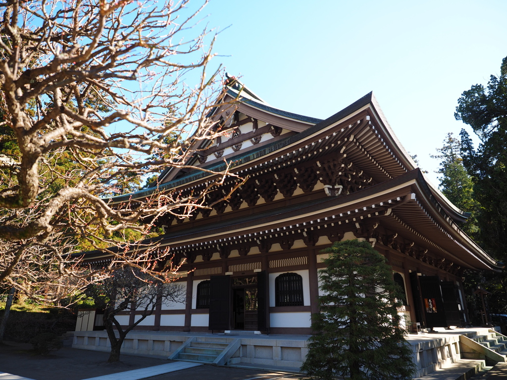 鎌倉　円覚寺　４　仏殿