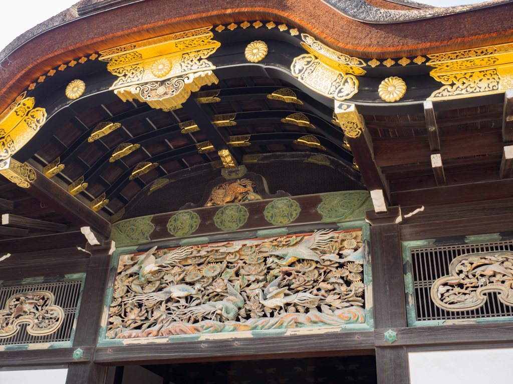 京都　二条城（春）④