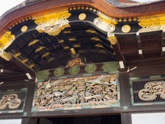 京都　二条城（春）④