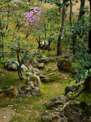 金閣寺の庭？