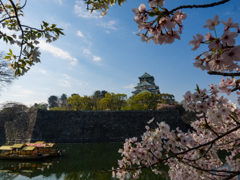 大阪城（桜とともに）