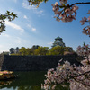 大阪城（桜とともに）
