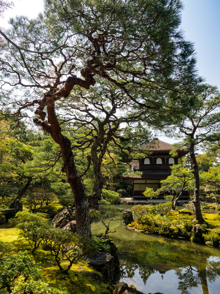銀閣寺⑤