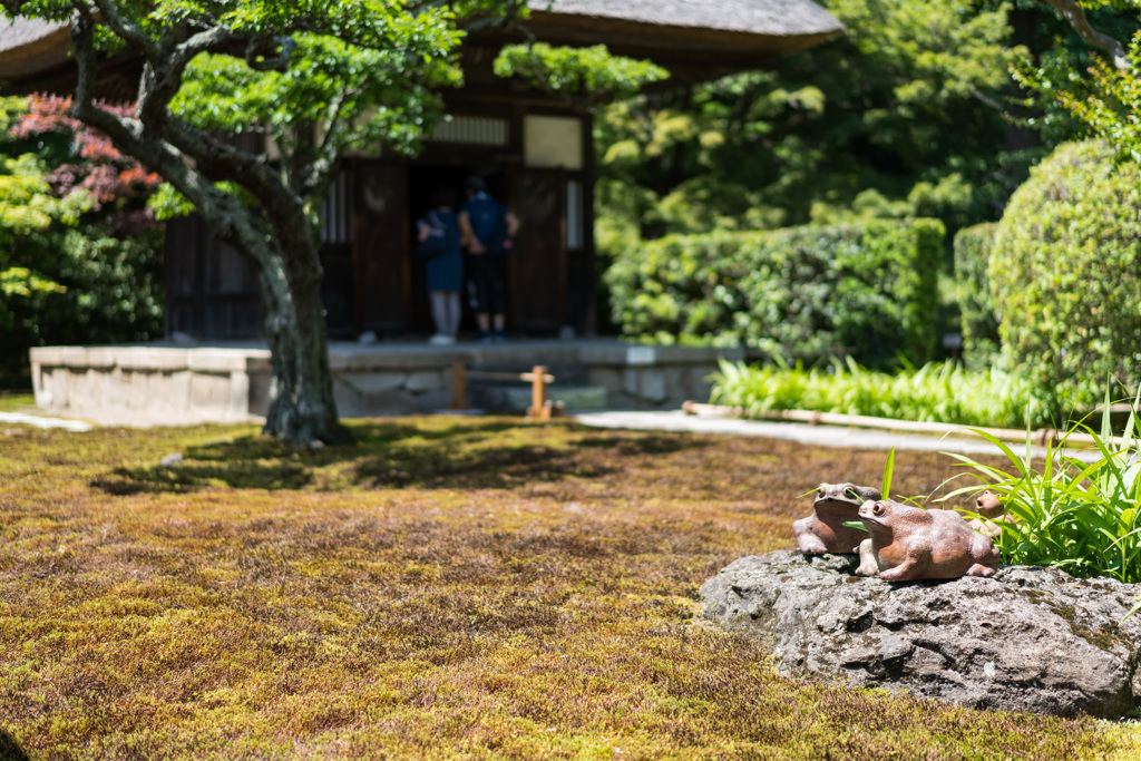 長寿禅寺　観音堂
