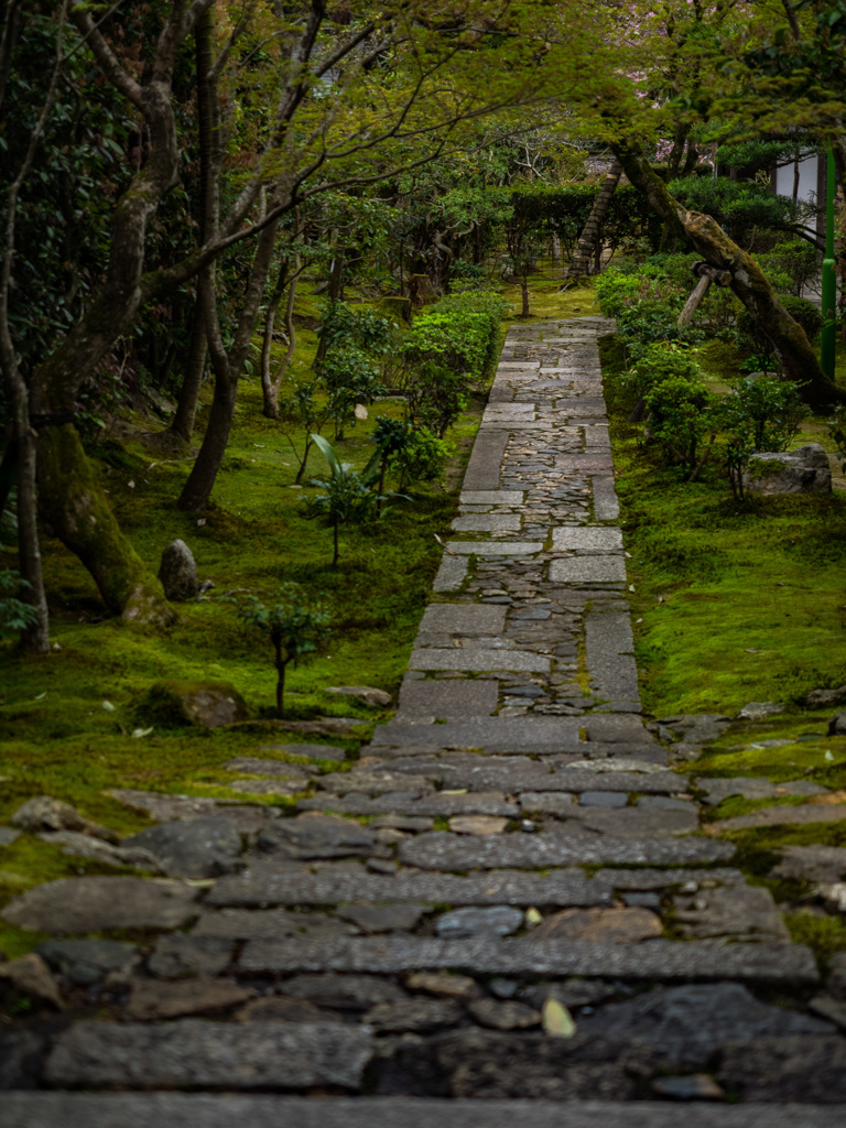 龍安寺　石畳
