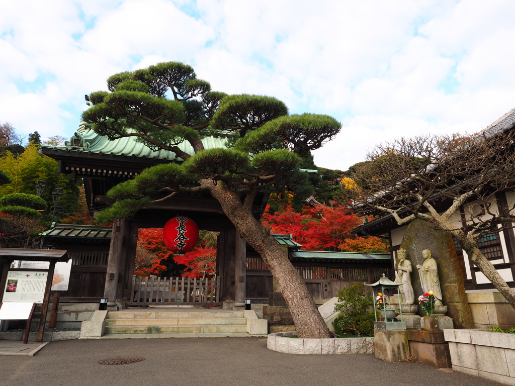 鎌倉長谷寺　２