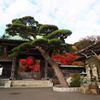 鎌倉長谷寺　２