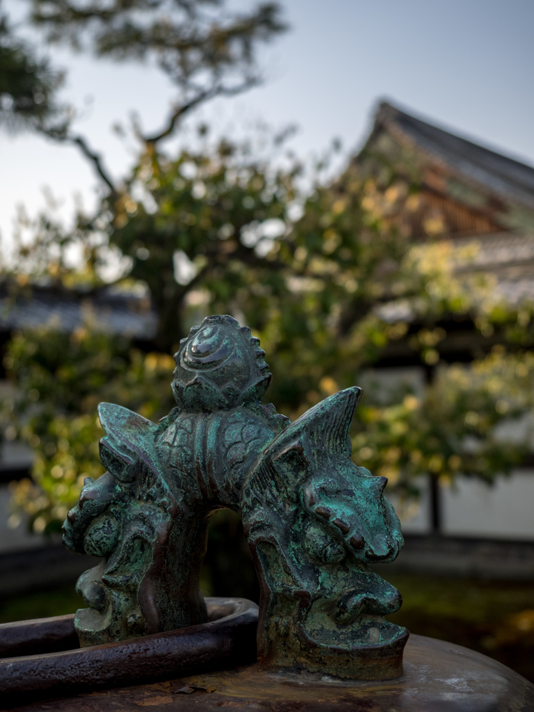 京都　二条城（春）⑦