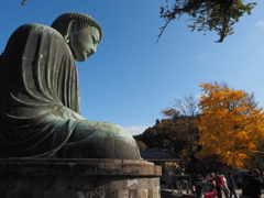 鎌倉　大仏殿１－５