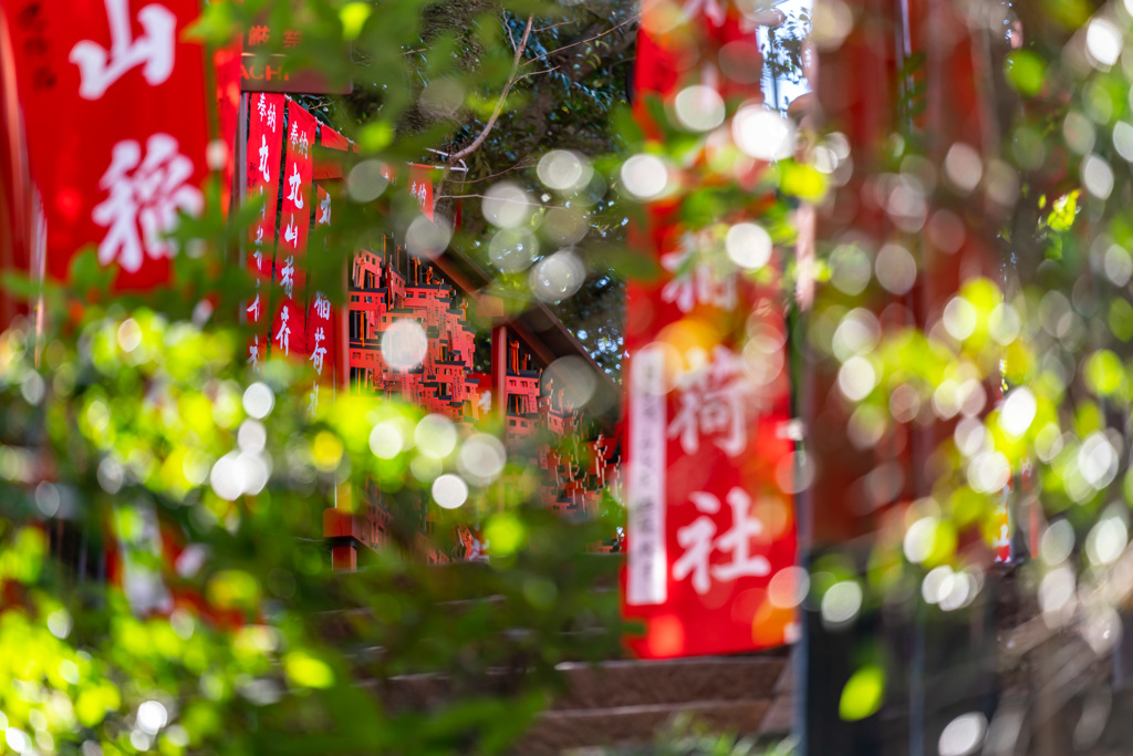 鶴岡八幡宮内　丸山稲荷社_DSC07420
