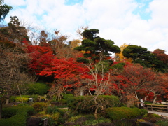 長谷寺の紅葉　１－１