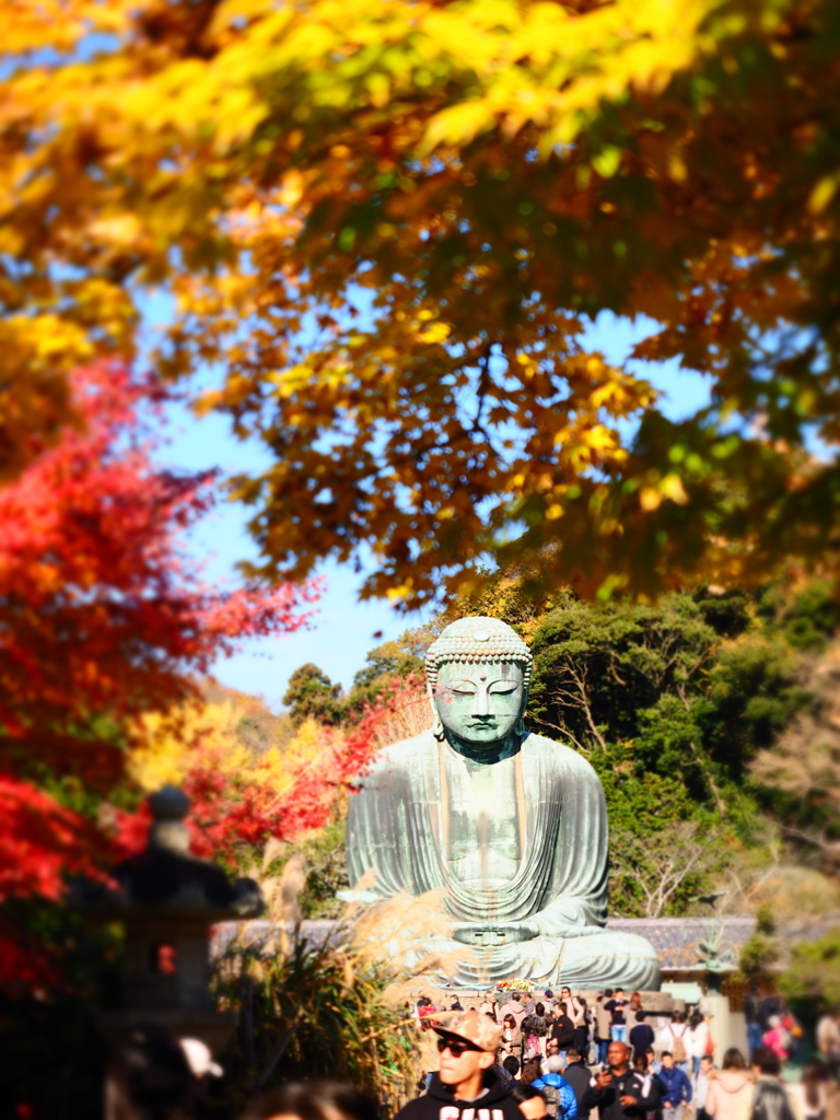 鎌倉　大仏殿１－２