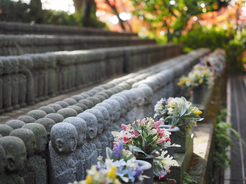 鎌倉 長谷寺 ２－３