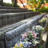 鎌倉 長谷寺 ２－３