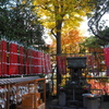 鎌倉 長谷寺 ２－４