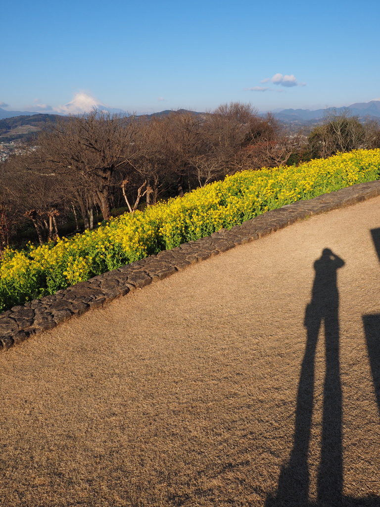 二宮　吾妻山公園で自撮り