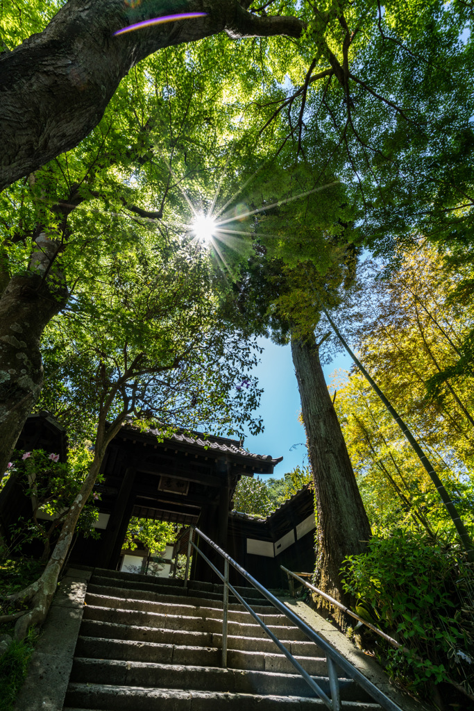 円覚寺　如意庵と光条