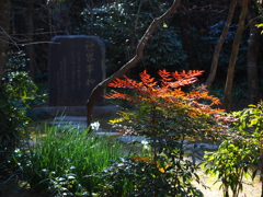 世界平和？　浄智寺　鎌倉