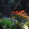 世界平和？　浄智寺　鎌倉
