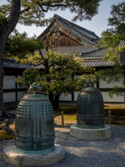 京都　二条城（春）⑥