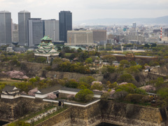 大阪城（遠景）