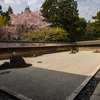 龍安寺　石庭①