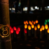 東口本宮冨士浅間神社の紅葉祭_DSC07076