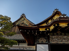 京都　二条城（春）⑤