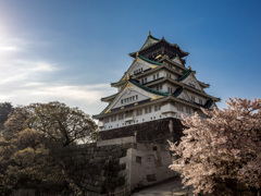 大阪城（桜）