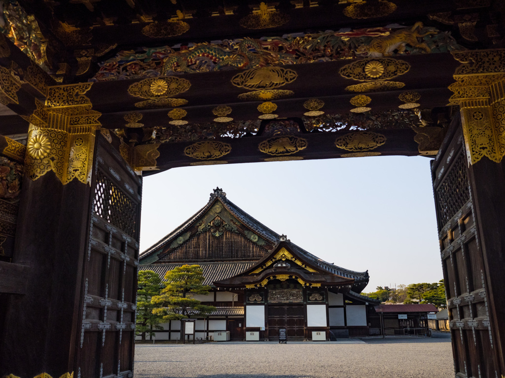 京都　二条城（春）②