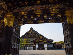 京都　二条城（春）②