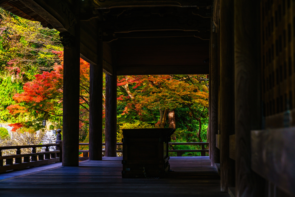 妙本寺(DSC02039)