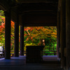 妙本寺(DSC02039)