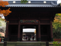 鎌倉　妙本寺　２