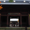 鎌倉　妙本寺　２