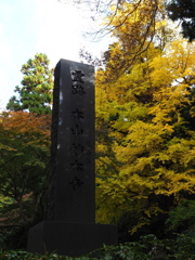 鎌倉　妙本寺　３