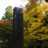 鎌倉　妙本寺　３