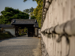 京都　二条城（春）⑧
