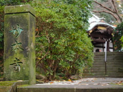 鎌倉　妙本寺　１