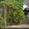鎌倉　妙本寺　１