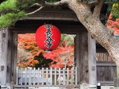 鎌倉長谷寺　３
