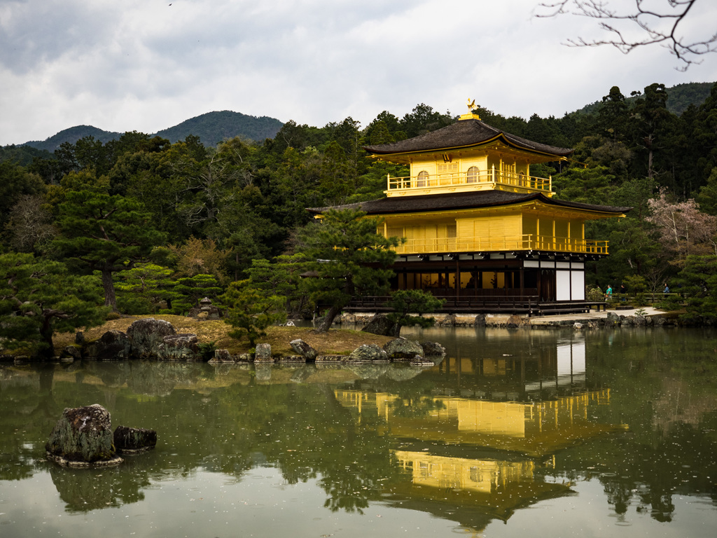 金閣寺雨模様②