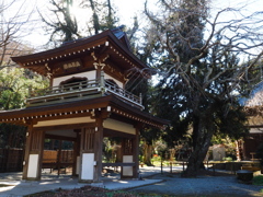 浄智寺　鎌倉