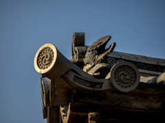 京都　二条城（春）⑩