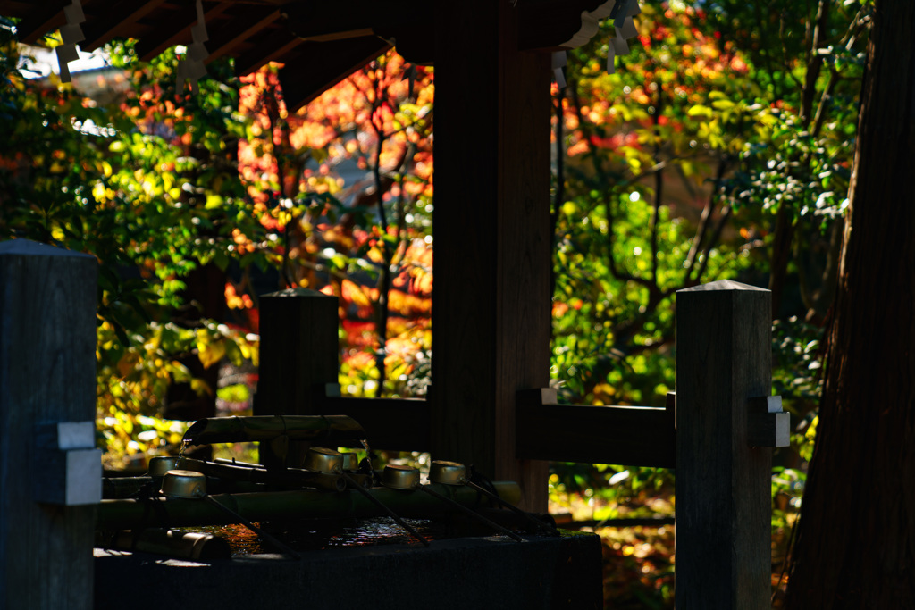 鶴岡八幡宮 白旗神社(DSC02661)