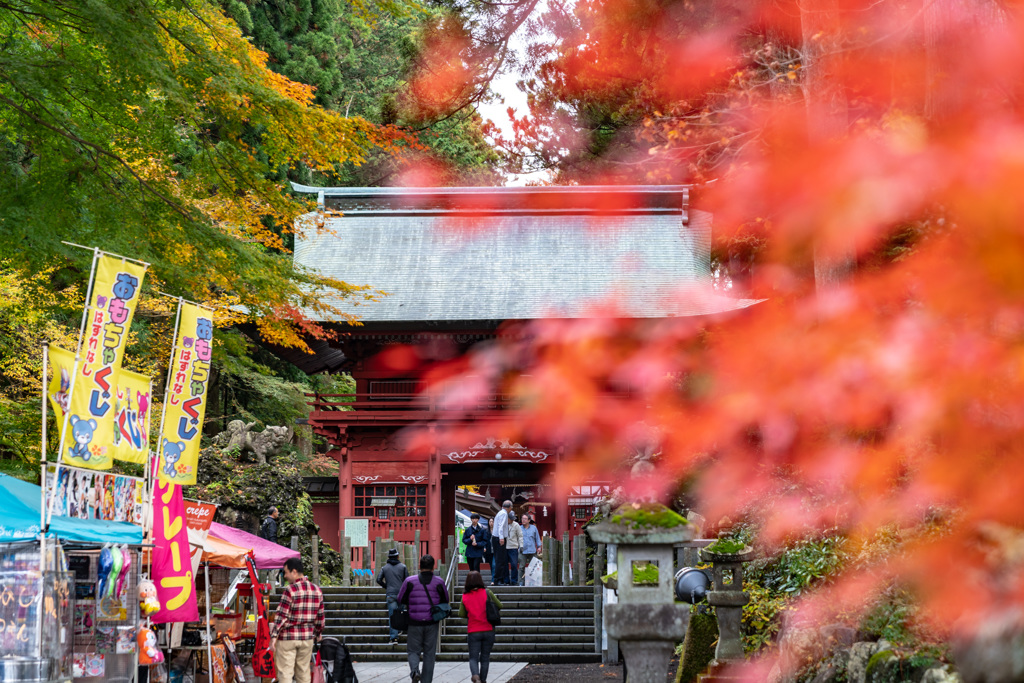 東口本宮冨士浅間神社の紅葉祭_DSC06986